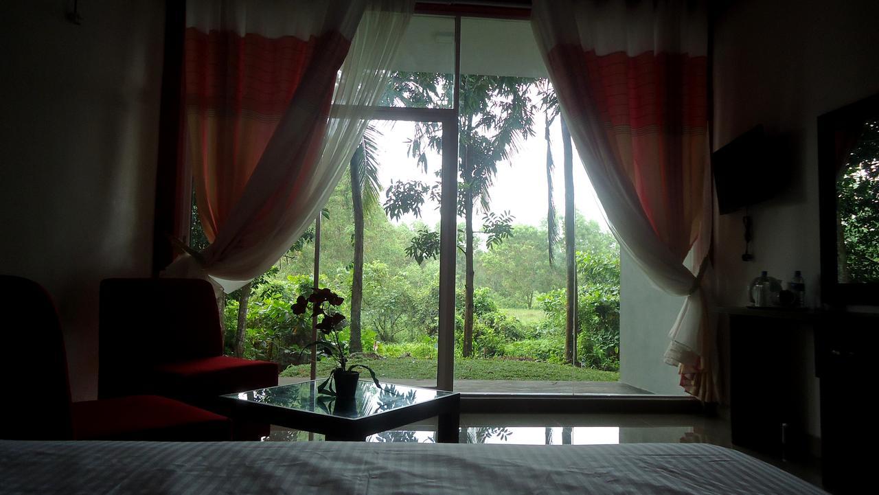 Bridge Hotel Negombo Kimbulapitiya Zewnętrze zdjęcie